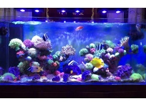 Cách Lựa Chọn Máy Bơm Nước Tại Aquariumcare