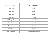 Cách tính và kéo dài tuổi thọ của mèo sống lâu hơn