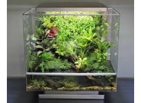 Terrarium, Paludarium Và Vivarium Có Phải Là Một Không ?