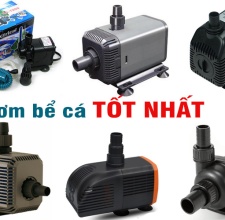 Các Máy Bơm Hồ Cá Tốt Nhất Hiện Nay