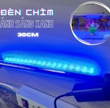 Đèn Led CHÌM 30cm Xanh Dương