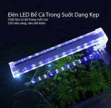 Đèn LED Kẹp Bể D20