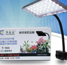 Đèn Led Kẹp Nano XML