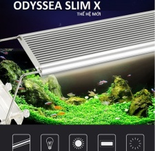 Đèn Led ODYSSEA SLIM