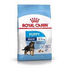 Hạt Royal Canin Maxi Puppy cho chó con