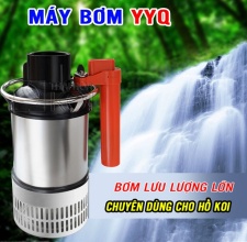 Máy Bơm Tạt Hồ Cá YYQ