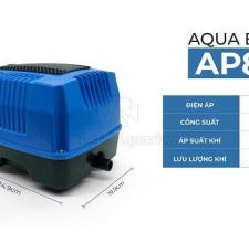 Máy Oxy Hồ Cá Aqua Blue AP-80