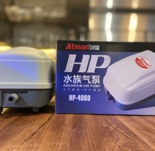 Máy sủi khí Atman HP