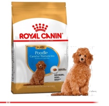 Thức Ăn Hạt Cho Chó Con Poodle Royal Canin Poodle Puppy 500g