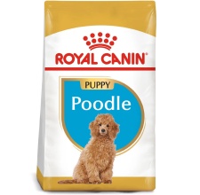 Thức Ăn Hạt Cho Chó Con Poodle Royal Canin Poodle Puppy