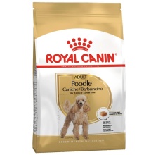 Thức Ăn Hạt Cho Chó Poodle Trưởng Thành Royal Canin Poodle Adult 500g