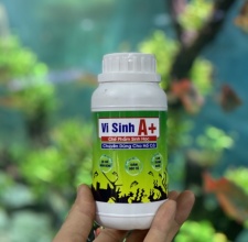 Vi sinh A+ – Chế Phẩm Vi Sinh Cho Hồ Cá