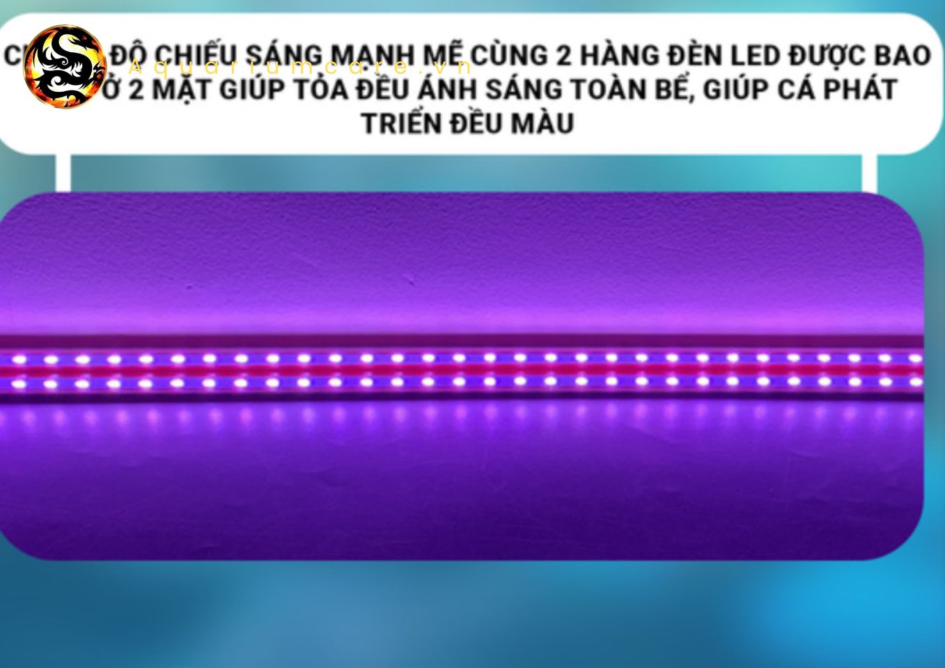 Đèn Led  2 Hàng Bóng Riverside RHU HY