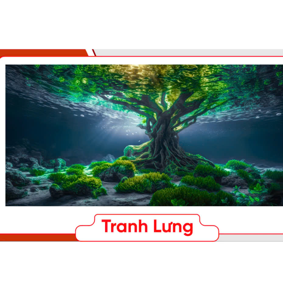 Tranh 3D Dán Bể Cá Đẹp