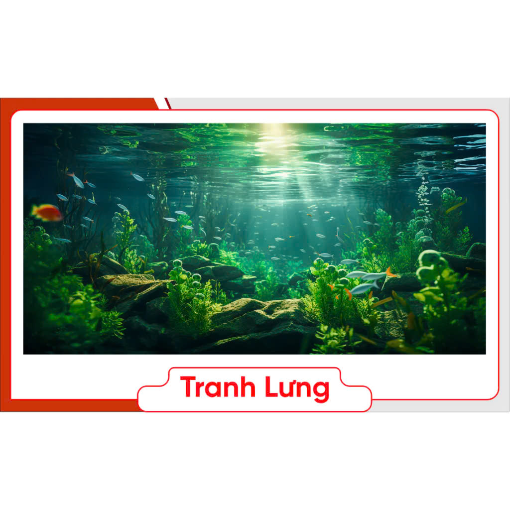 Tranh 3D Dán Đáy Bể Cá