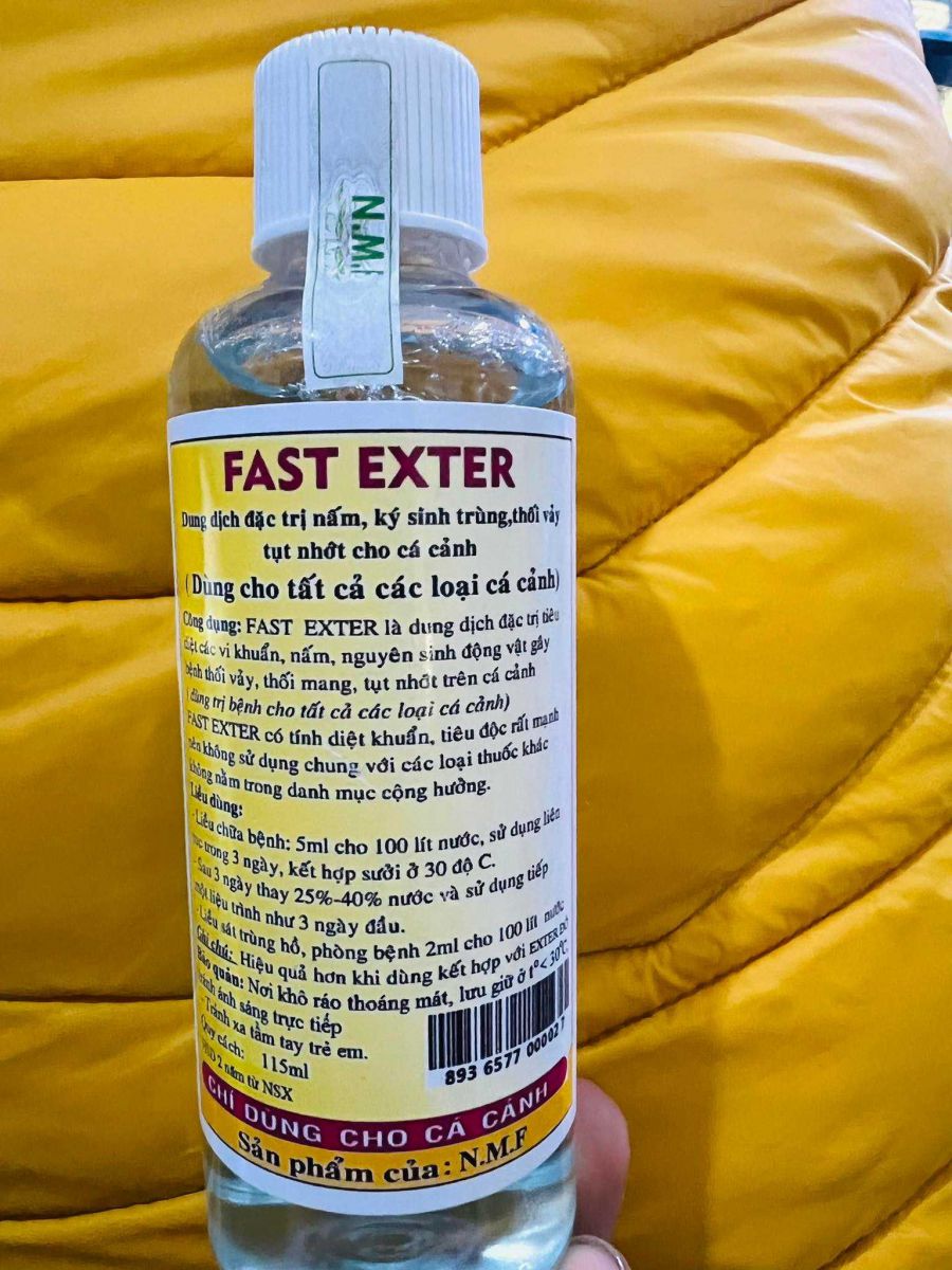 Fast Exter