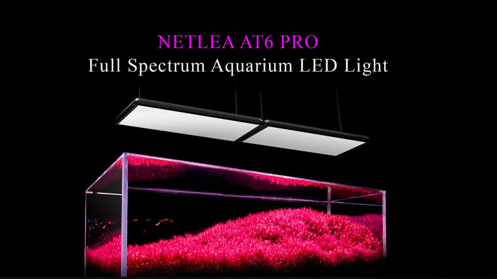 Đèn Netlea RGB AT6 Pro