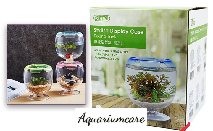 Bể cá Ista Stylish Display Round Tank màu hồng