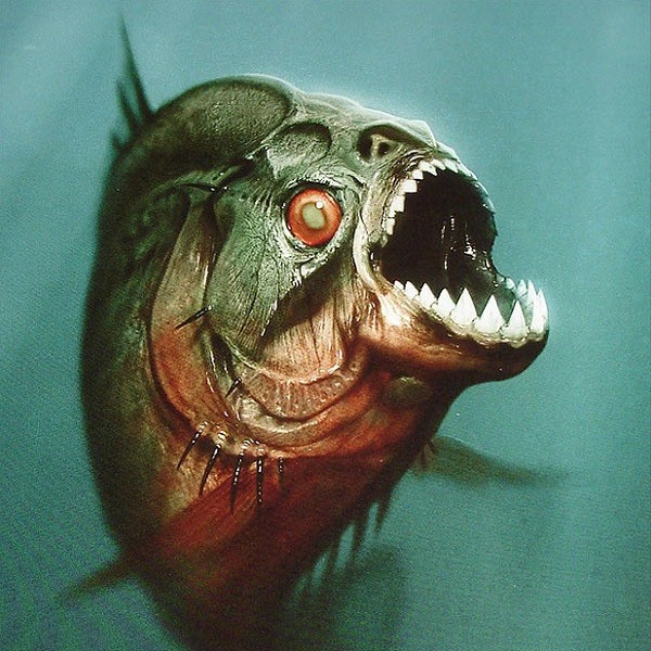 Cá Piranha 