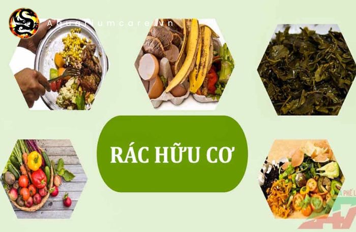 Rác hữu cơ