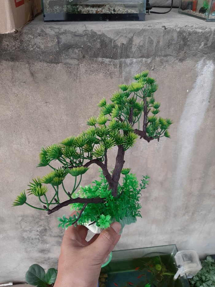 Cây Bonsai Giả Để Trang Trí Hồ Cá