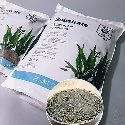 Cốt Nền Tropica Substrate