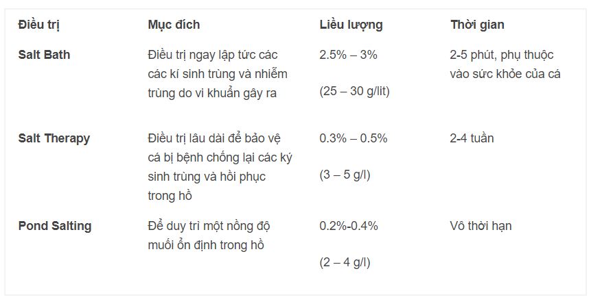 Cho muối vào hồ cá koi