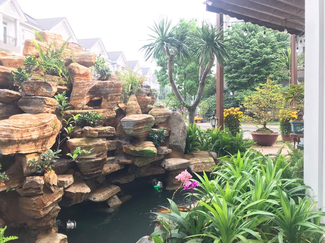 Hồ Cá Koi Đạt Chuẩn