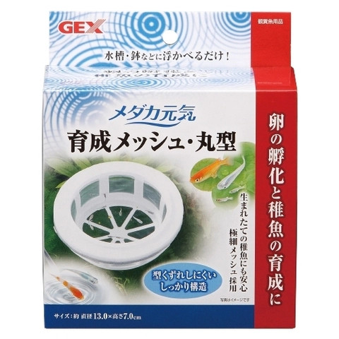 Hộp nhựa ươm trứng và cá Medaka con - Gex Medaka Rearing Mesh Box