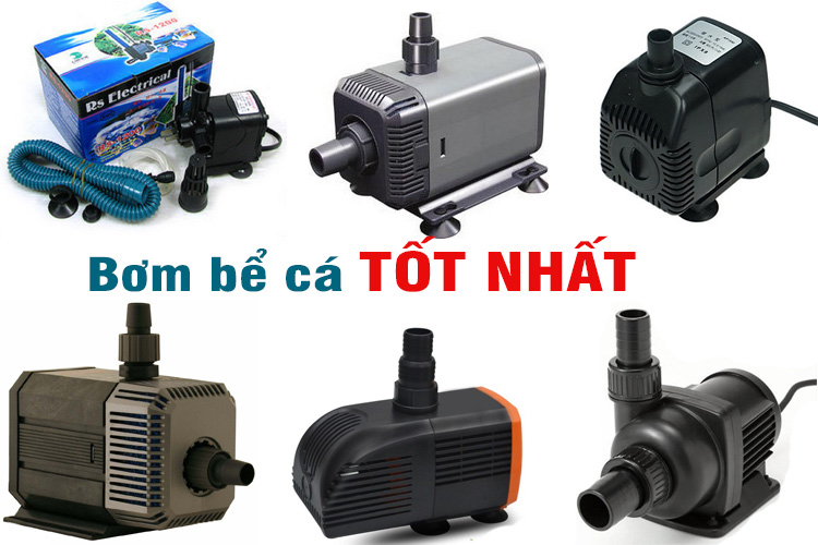 Máy Lọc Hồ Cá Koi