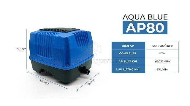 Máy Oxy Hồ Cá Aqua Blue AP-80