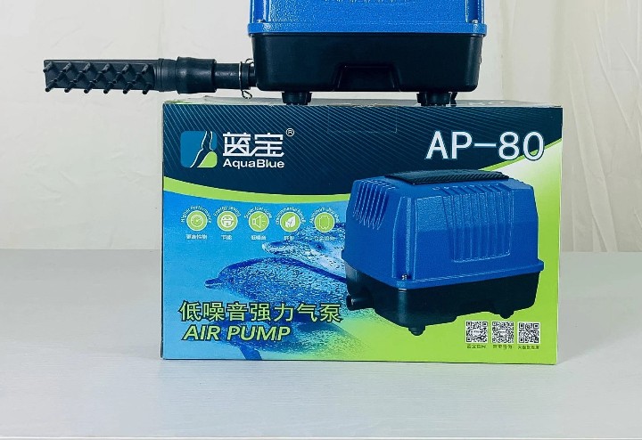 Máy Oxy Hồ Cá Aqua Blue AP-80