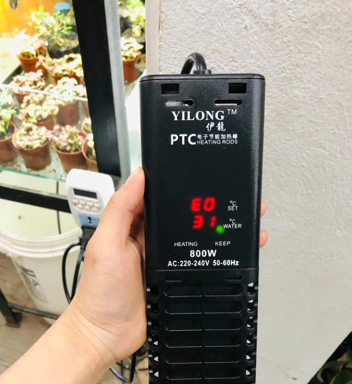 Sưởi Bể Cá Rồng YILONG PTC 800W