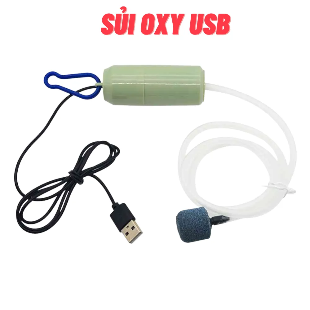 Máy sủi oxy mini USB