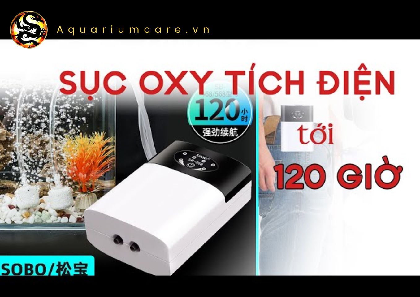 máy oxi tích điện sobo 468