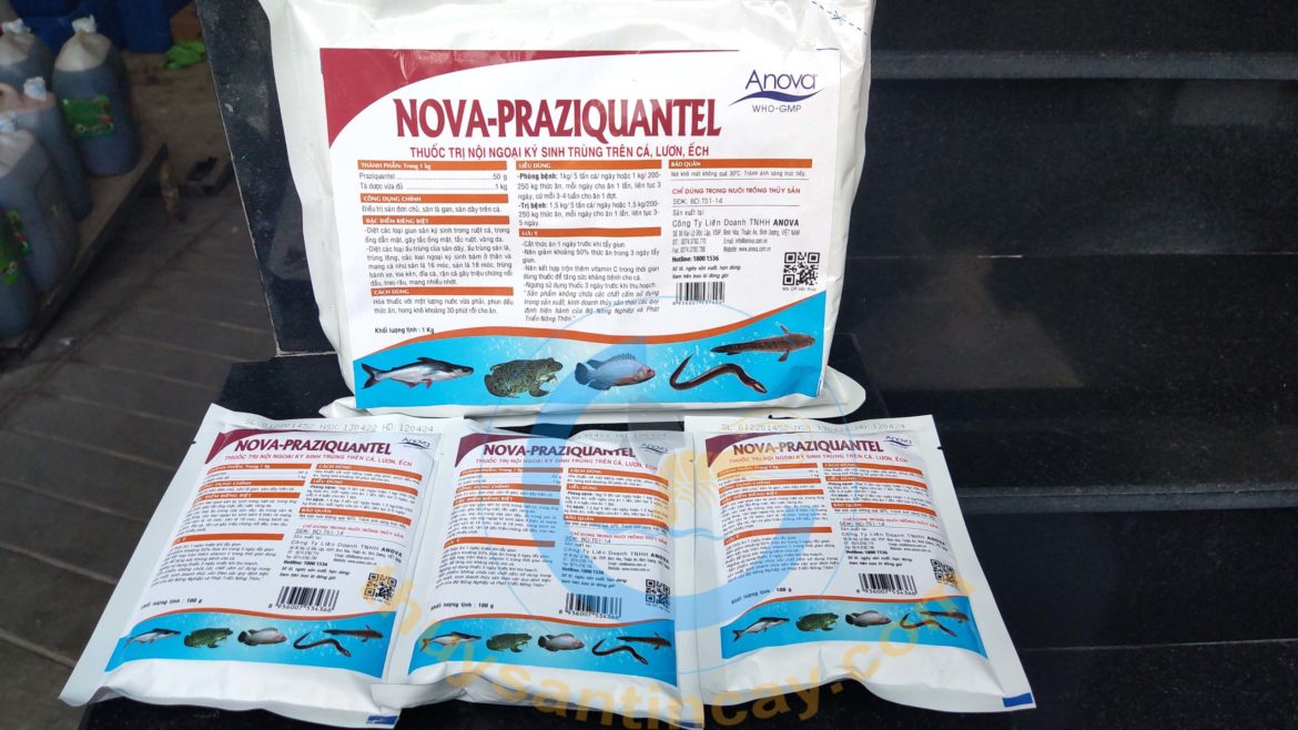 Nova Praziquantel