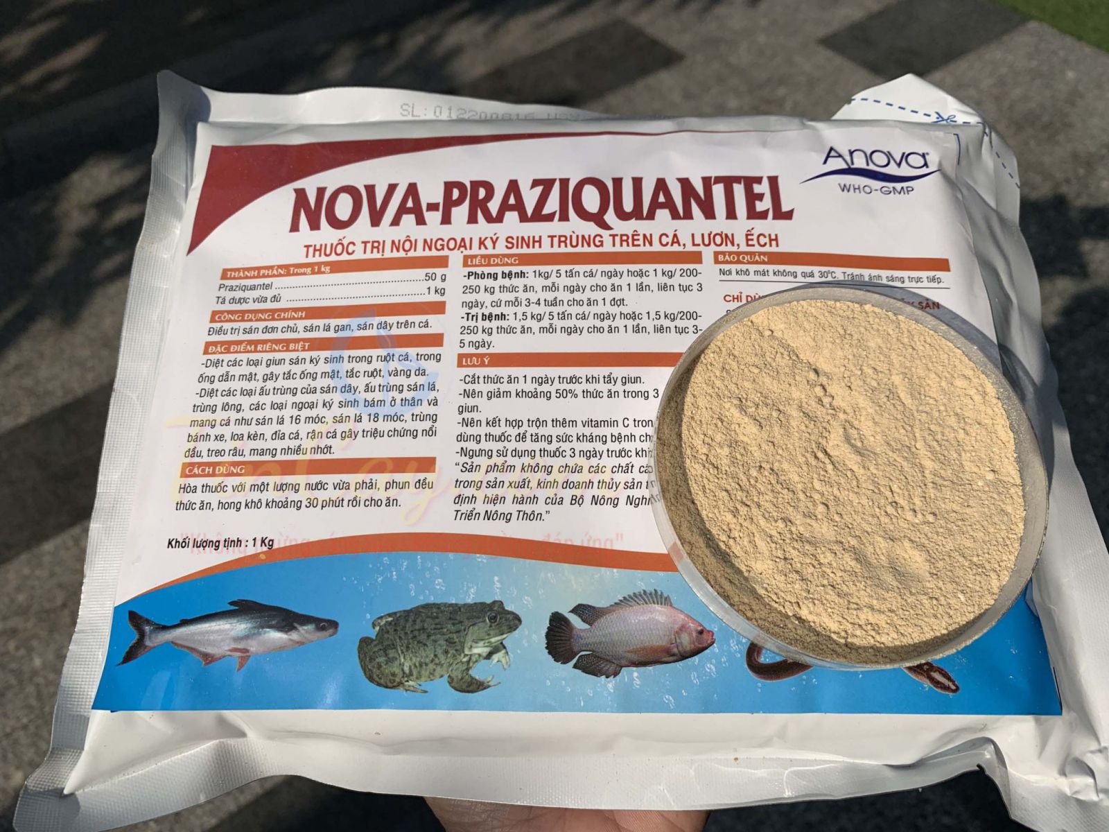 Nova Praziquantel