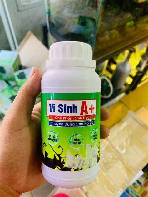 Vi sinh A+ – Chế Phẩm Vi Sinh Cho Hồ Cá