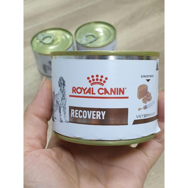 Pate Cho Chó Mèo Phục Hồi Sức Khỏe Royal Canin Recovery Lon 195g