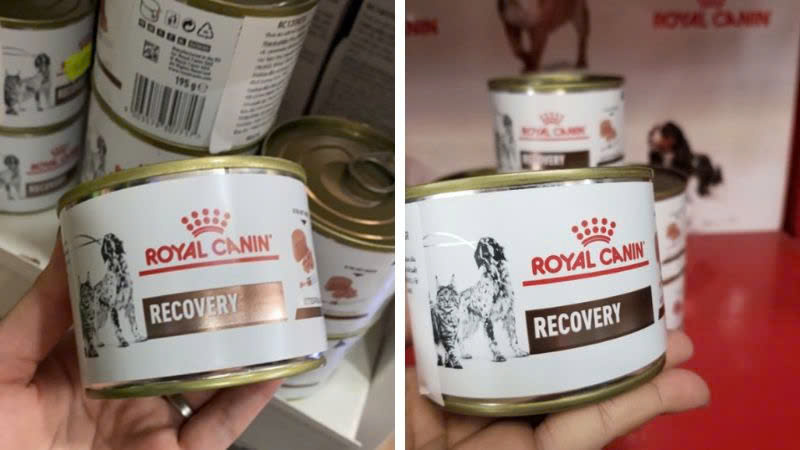 Pate Cho Chó Mèo Phục Hồi Sức Khỏe Royal Canin Recovery Lon 195g