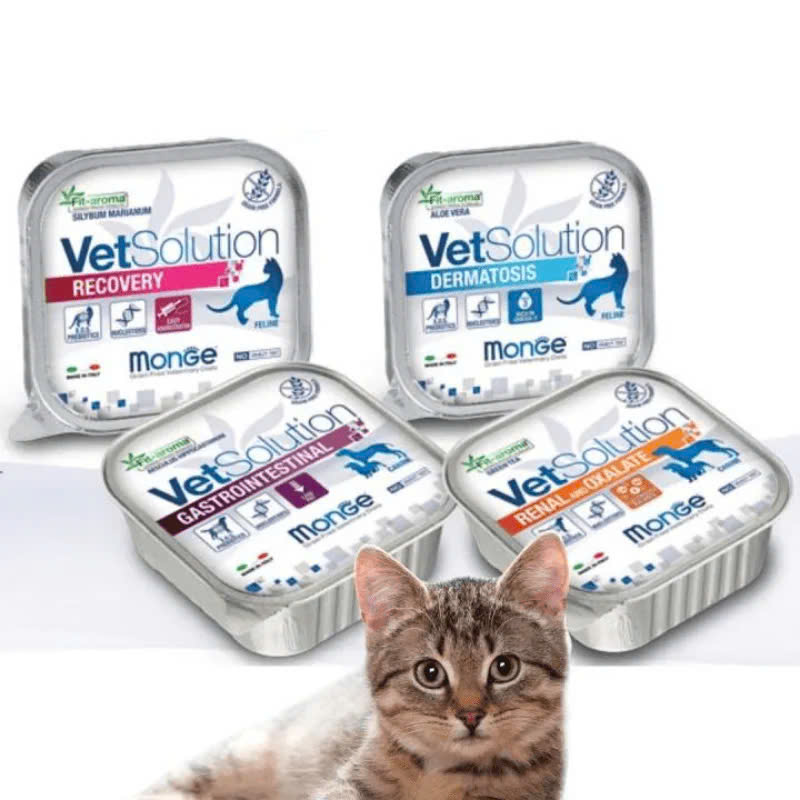 Pate Cho Chó Monge Dog Vet Solution Ngừa viêm da (Dermatosis)