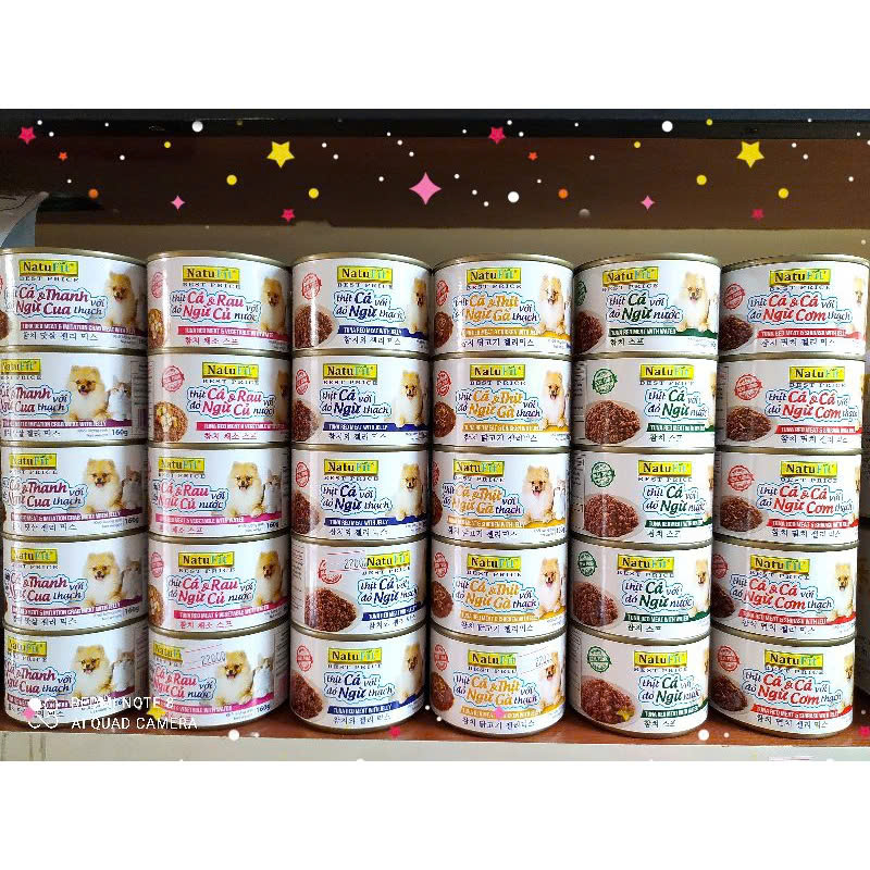 Pate Cho Chó NatuFit Combo Mix 4 Vị