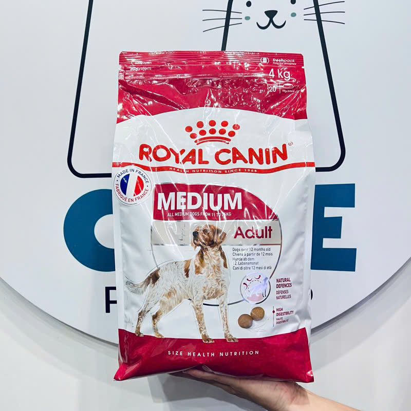 Pate Cho Chó Trưởng Thành Giống Vừa Royal Canin Medium Adult 