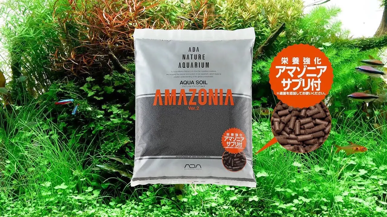 Phân Nền Ada Amazonia Ver 2