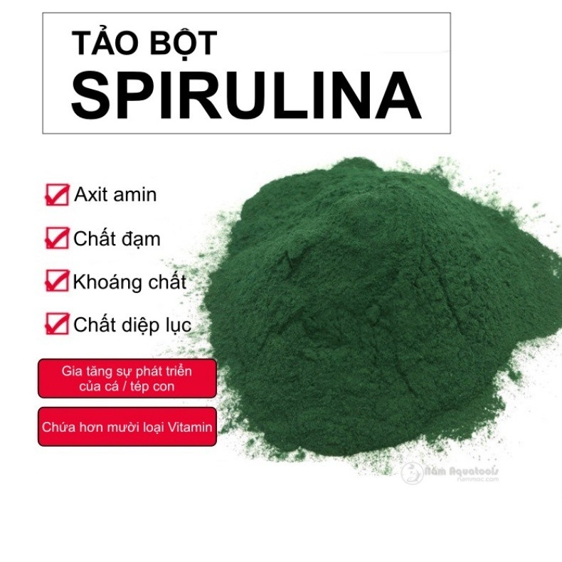 Tảo Xanh Spirulina