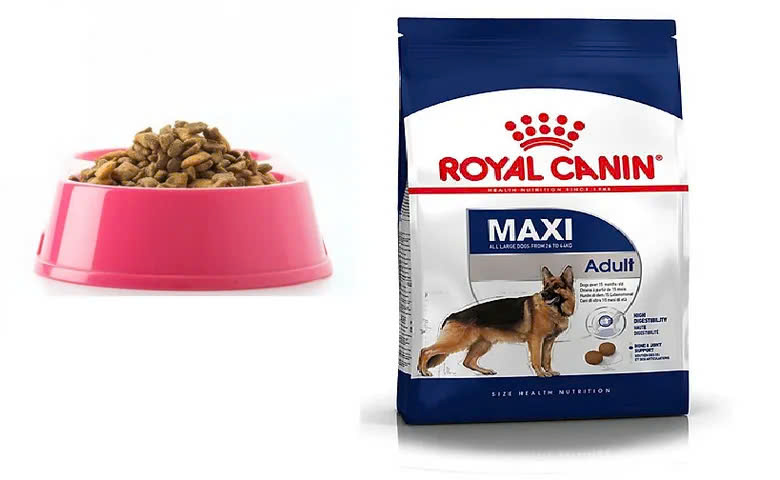 Thức Ăn Cho Chó Royal Canin Maxi Adult 