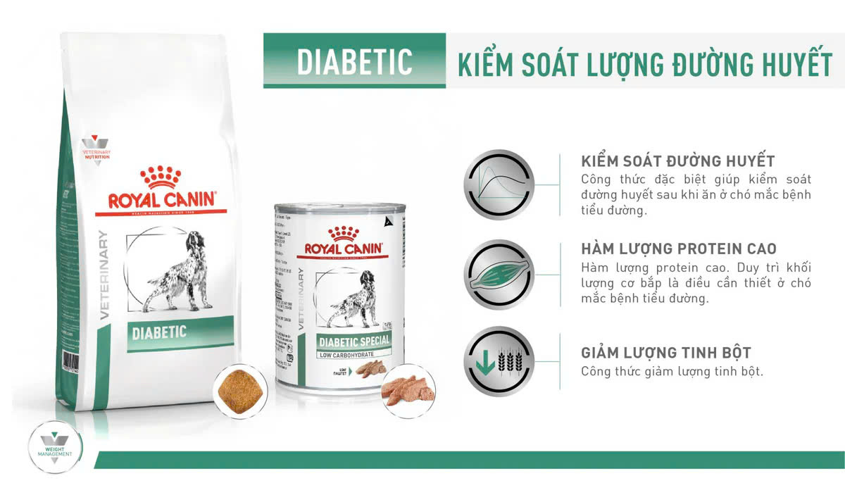 Thức Ăn Hạt Điều Trị Bệnh Tiểu Đường Royal Canin Diabetic