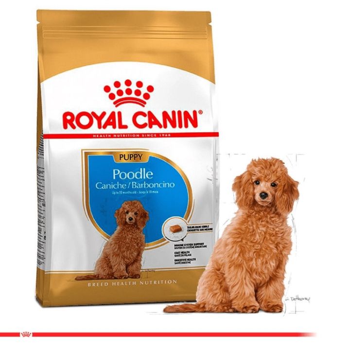 Thức Ăn Hạt Cho Chó Con Poodle Royal Canin Poodle Puppy 1.5Kg