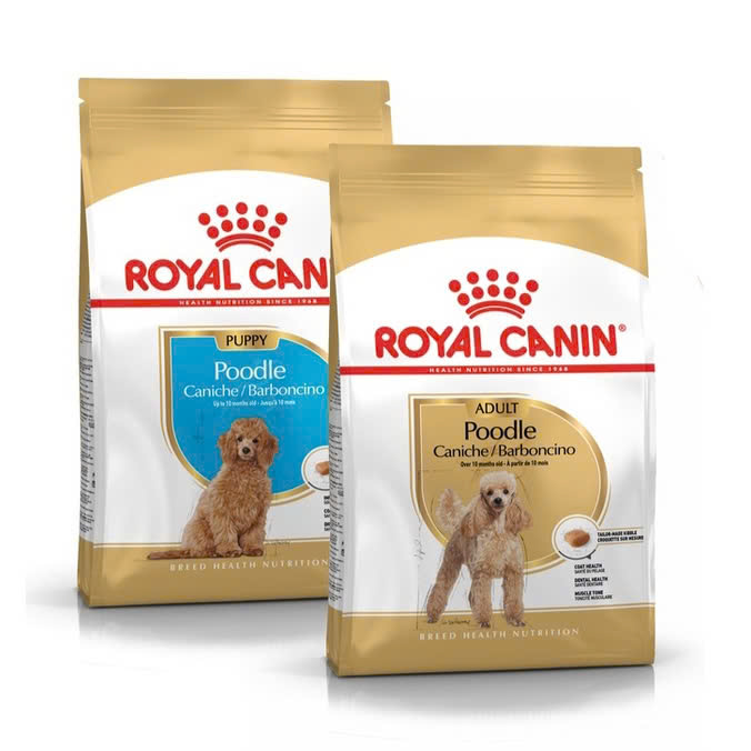 Thức Ăn Hạt Cho Chó Poodle Trưởng Thành Royal Canin Poodle Adult 1.5Kg