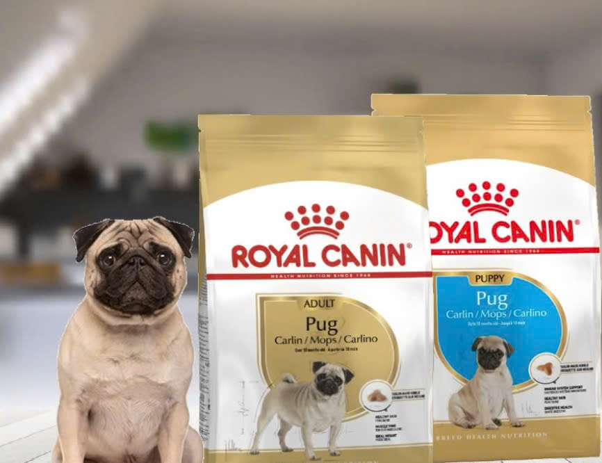 Thức Ăn Hạt Cho Chó Pug Royal Canin Pug Adult 